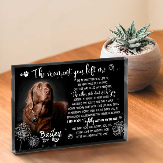 Dog Remembrance Plaque Personalized Photo - Custom Pet Memorial Gifts - Sympathy Gift For Loss Of Dog