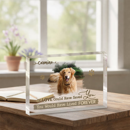 Personalized Dog Remembrance Plaque – Pet Acrylic Photo Block For Loss Of Dogs – Pet Memorial Gift – When Tomorrow Starts Without Me