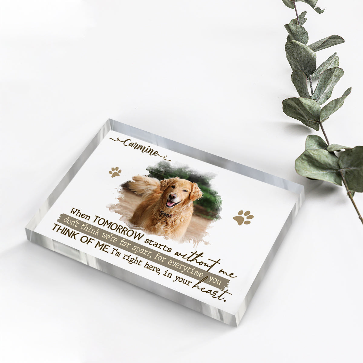 Personalized Dog Remembrance Plaque – Pet Acrylic Photo Block For Loss Of Dogs – Pet Memorial Gift – When Tomorrow Starts Without Me