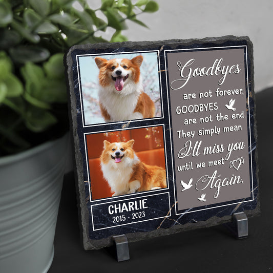 Personalized Pet Memorial Photo Stones - Dog Memorial Gifts For Garden - Until We Meet Again Pet Fur Keepsake